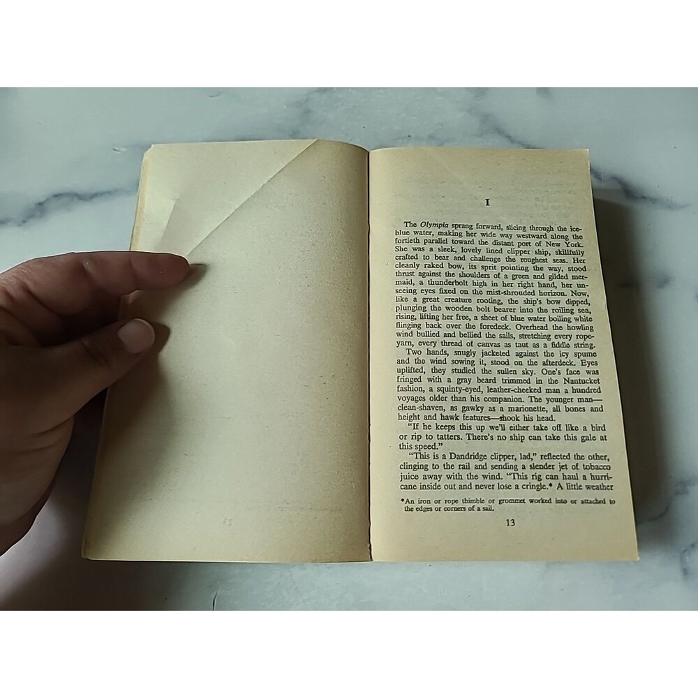This Ravaged Heart By Barbara Riefe Paperback - Picture 6 of 10